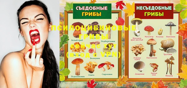 МДПВ Вязьма