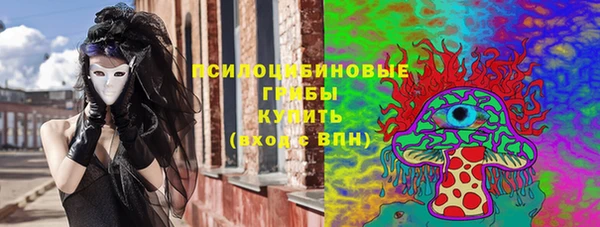 МДПВ Вязьма